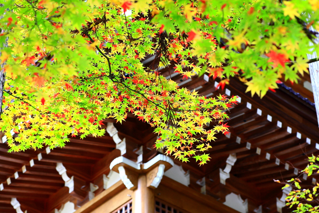 永平寺