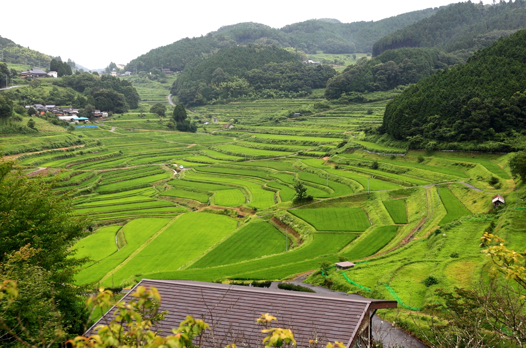 大垪和（おおはが）の棚田