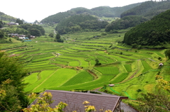 大垪和（おおはが）の棚田