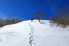 見えない登山道