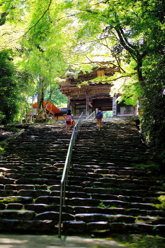 京都　神護寺