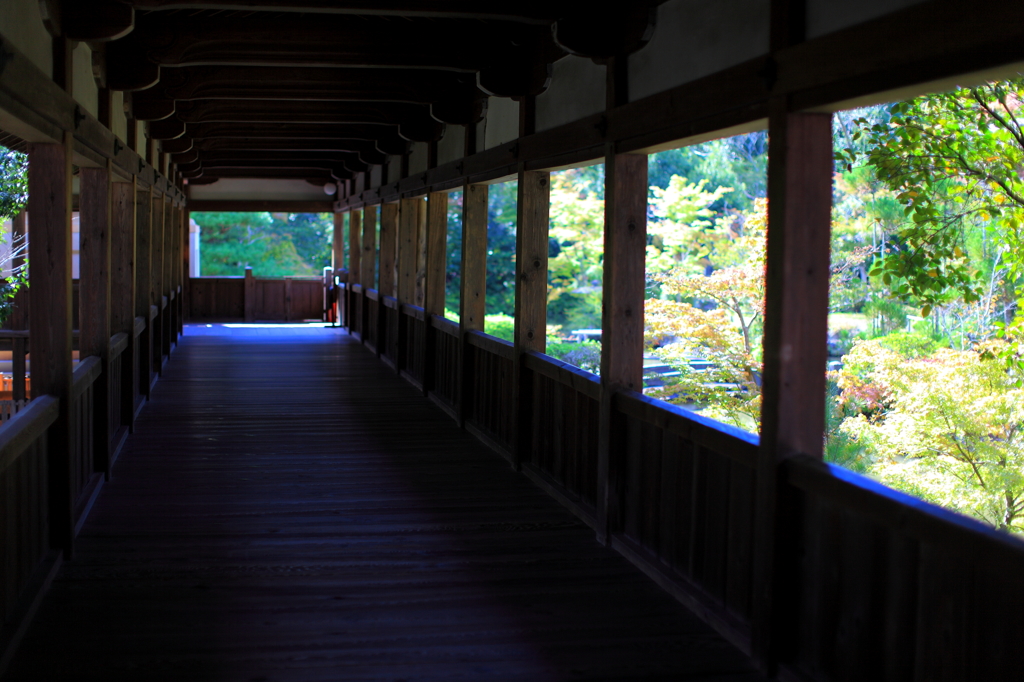 京都　清涼寺
