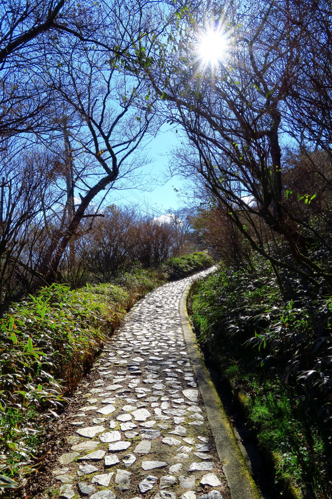 山頂の道