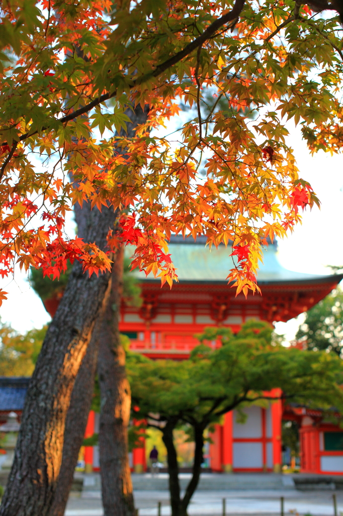 京都　今宮神社