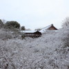京都は新年早々雪景色