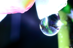 水滴