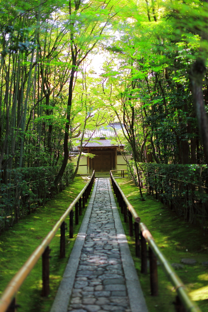 大徳寺高桐院