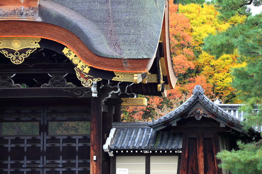 京都御所　建春門