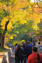 東福寺参拝