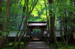 竹の寺