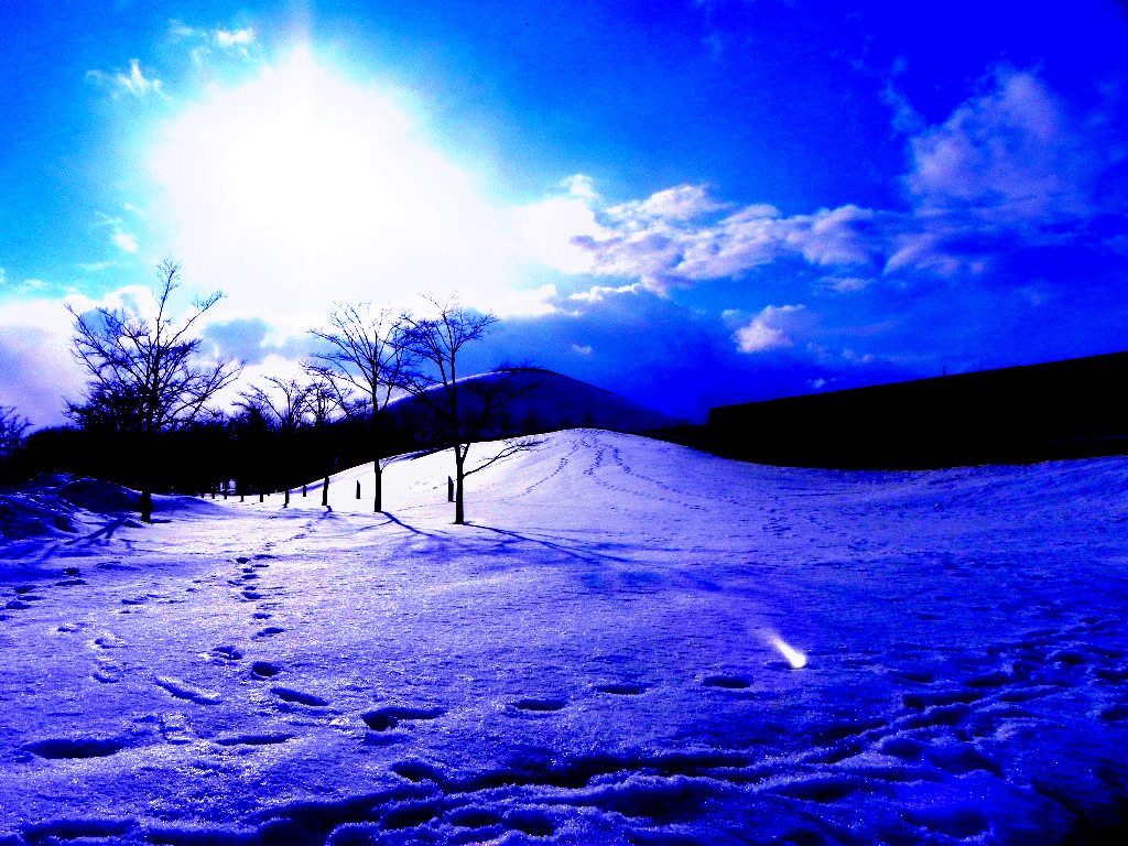 雪が溶けていく