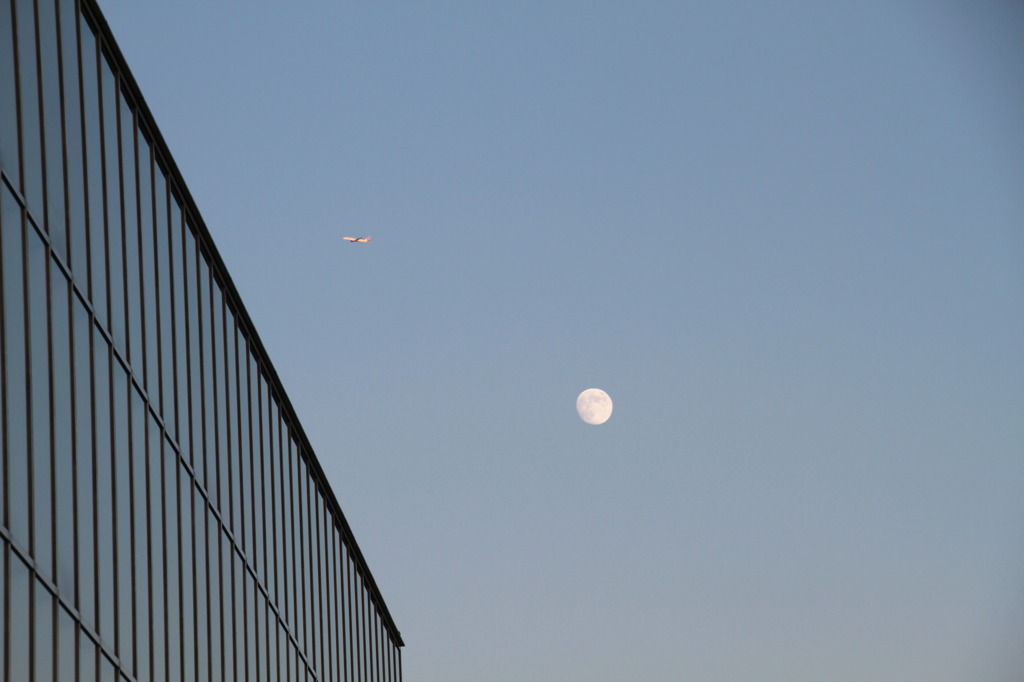 月とＪＡＬ