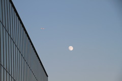 月とＪＡＬ