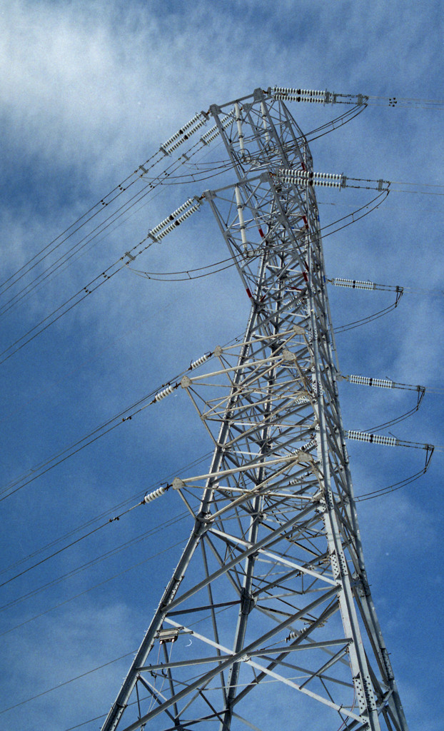 坂井市三国町１月頃