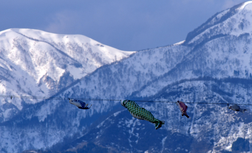 勝山市弁天河原Ｈ24.4.7　03