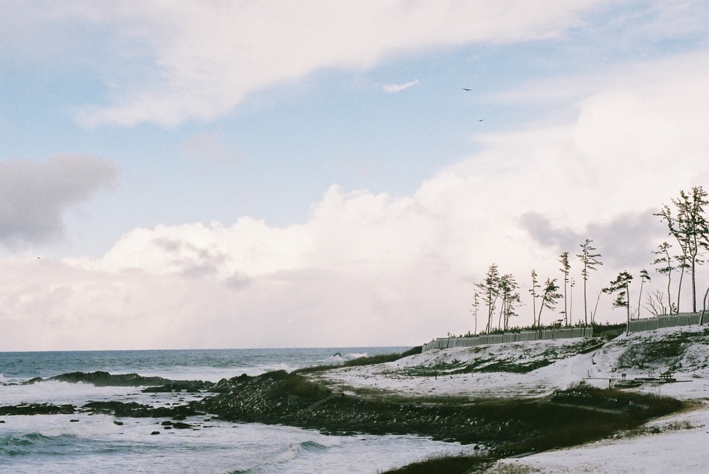 荒磯遊歩道Ｈ23.01.30