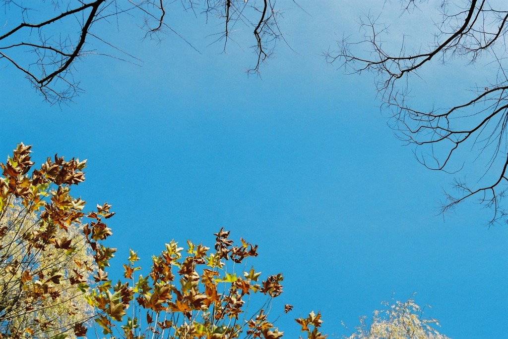 福井市中央公園01