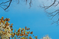 福井市中央公園01