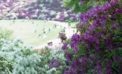 鯖江　西山公園05