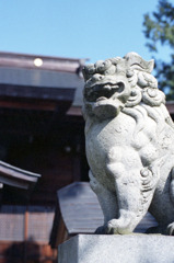 丸岡町　國神神社02