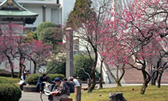 福井市中央公園４月上旬19