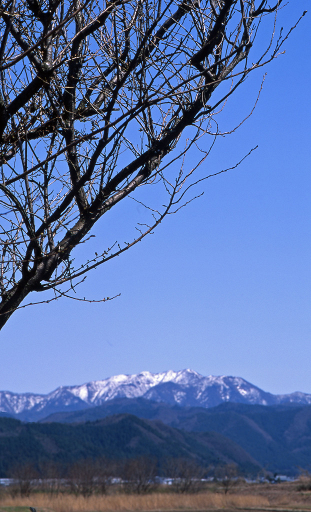 坂井市坂井町長屋Ｈ24.4.8　03
