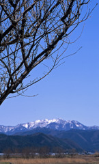 坂井市坂井町長屋Ｈ24.4.8　03