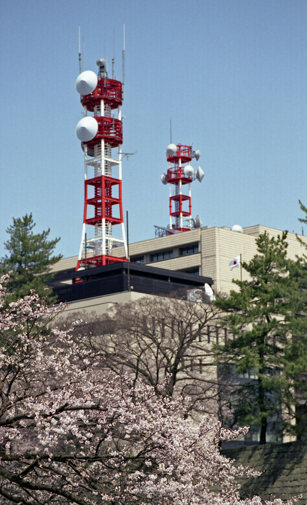 福井県庁お堀４月中旬01