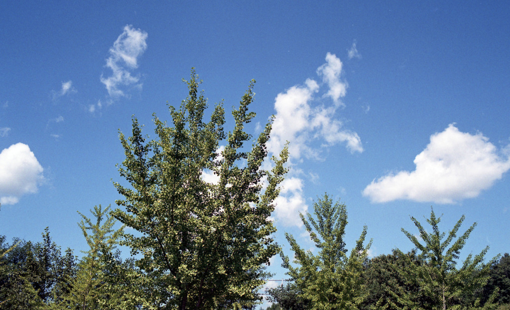 ふくい健康の森（H23.9.6）02