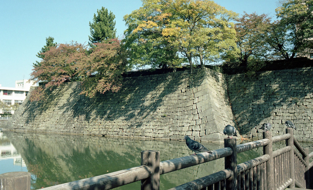 福井市中央公園　10月下旬03