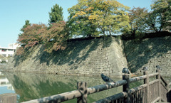 福井市中央公園　10月下旬03