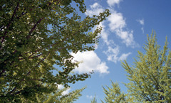 ふくい健康の森（H23.9.6）05