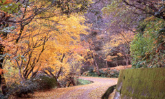 福井市八幡山Ｈ24.11　02