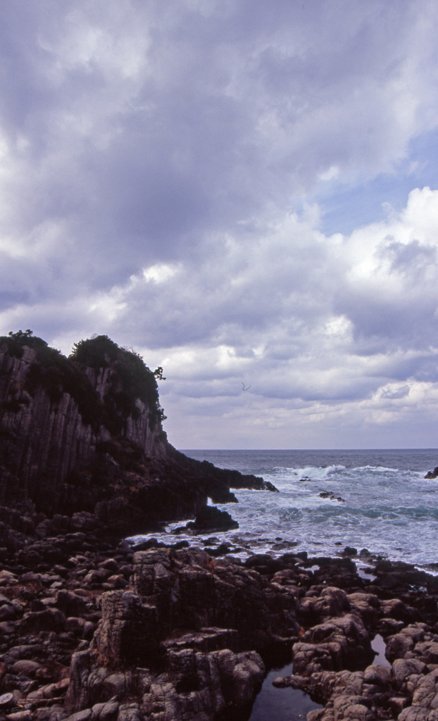 越前海岸Ｈ25.3　03