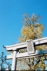 福井市中央公園06