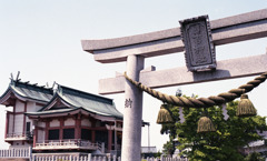 越前市　日吉神社01