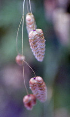 足羽川　板垣橋河川敷02