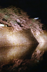 福井県庁　お堀　夜06