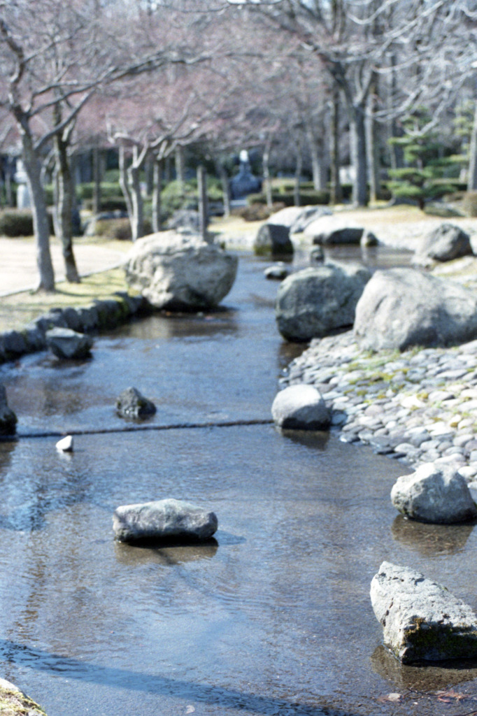 丸岡町　霞ケ城公園01