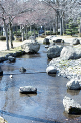 丸岡町　霞ケ城公園01