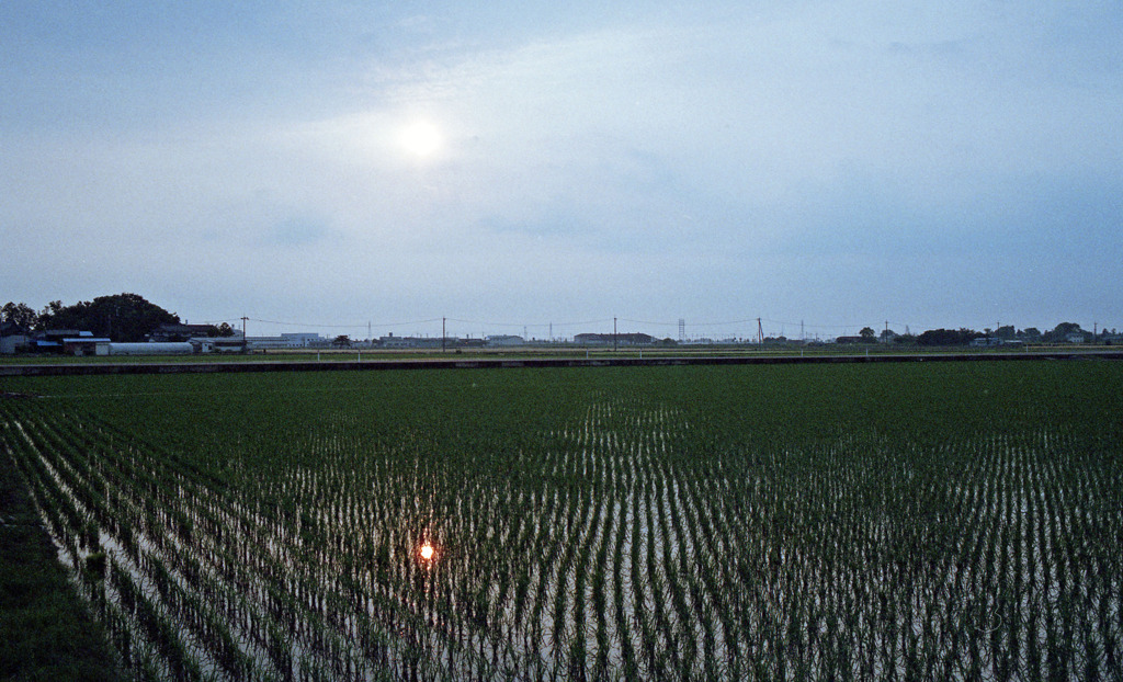 坂井市春江町夕日
