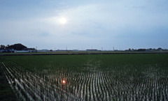 坂井市春江町夕日