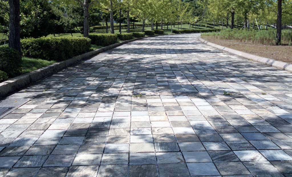 ふくい健康の森（H23.9.6）04