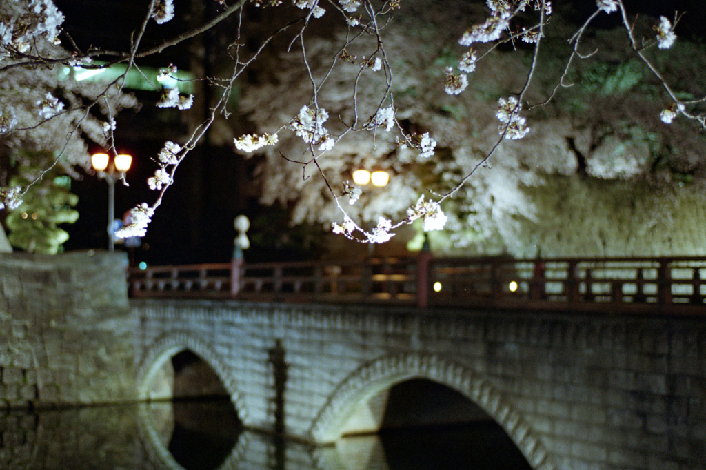 福井県庁　お堀　夜03