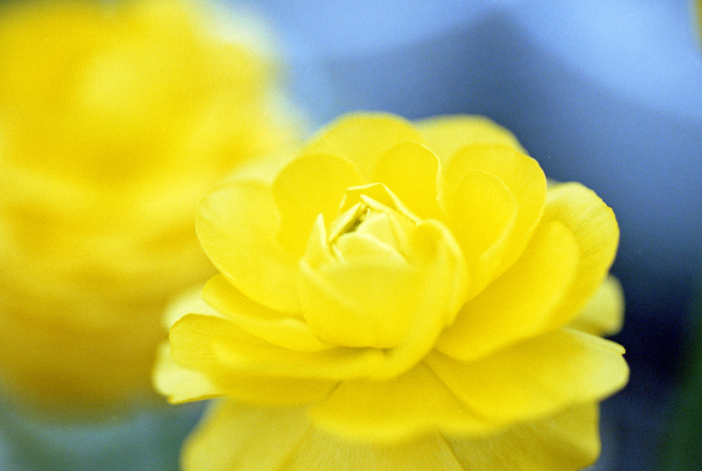 福井県総合グリーンセンター05