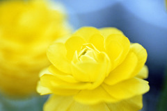 福井県総合グリーンセンター05