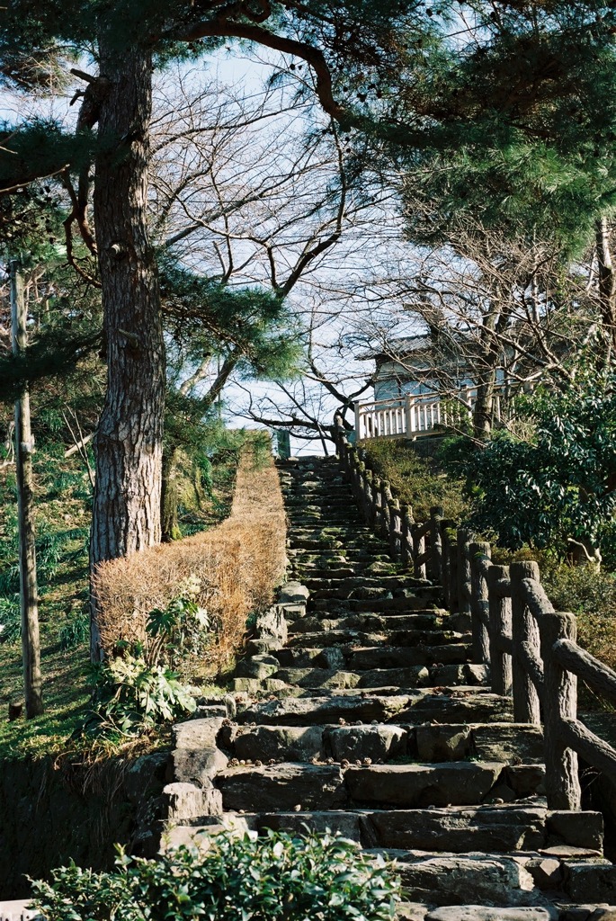 丸岡城　北西側階段01