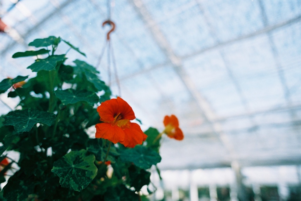 総合グリーンセンター06