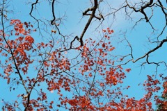 福井市中央公園03