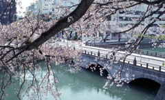 福井県庁　石垣02